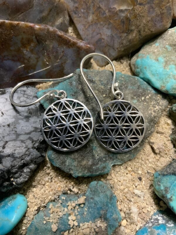 Silver earrings on textured stone background