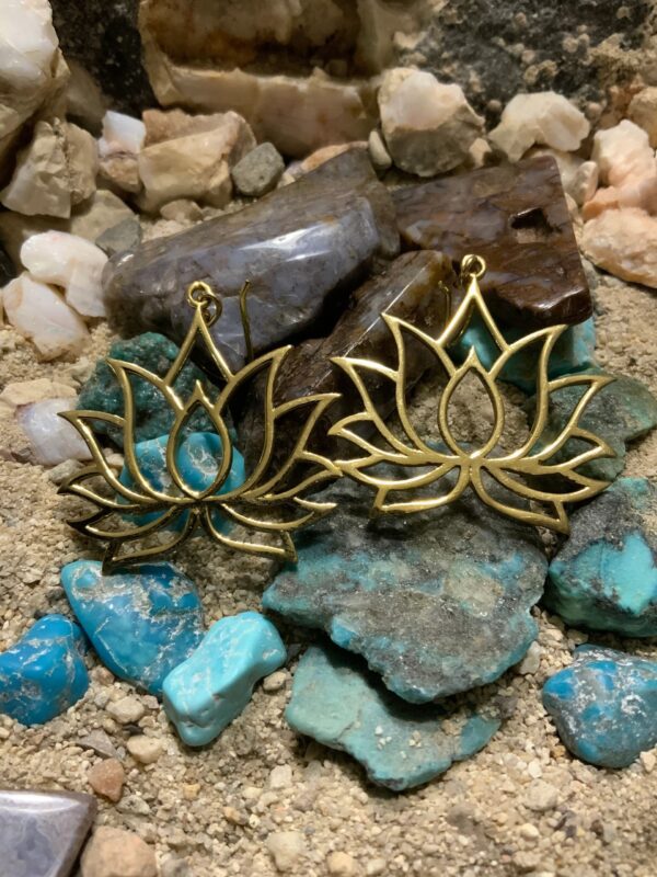 Elegant earrings displayed on natural stones