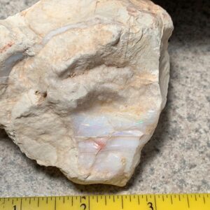 Rough opal rock with ruler for scale