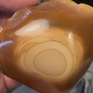 Bruneau Jasper
